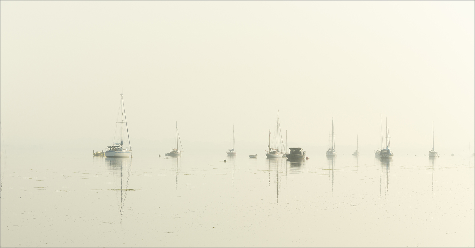 Misty Morning - Jill Sullivan